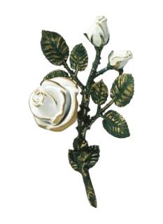 Rozes