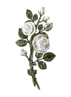 Rozes