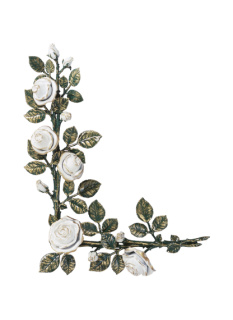 Rozes