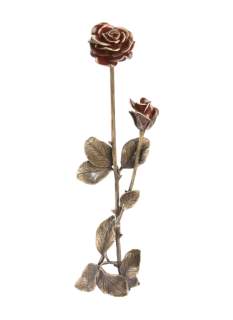 Rozes