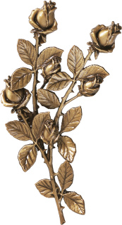 Rozes