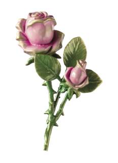 Rozes