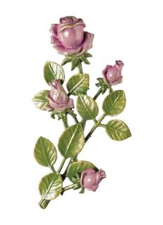 Rozes