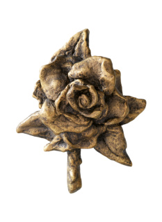 Rozes