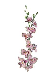 Orchidėja