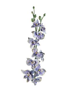 Orchidėja