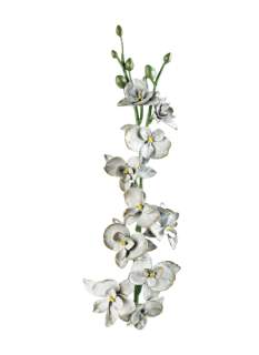 Orchidėja