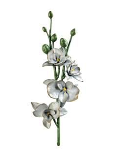 Orchidėja