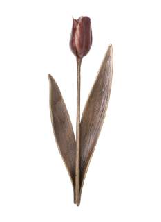 Tulpė