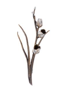Gėlė