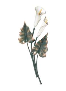 Calla