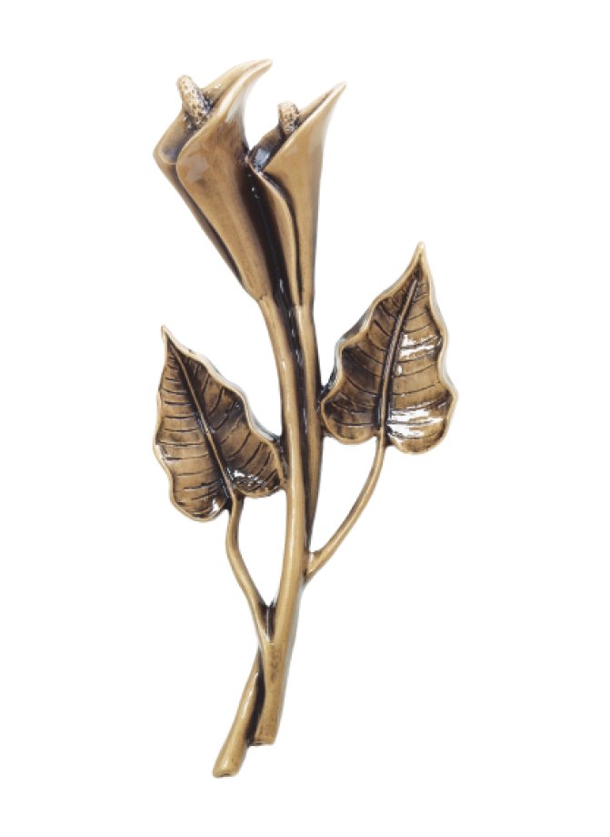 Calla