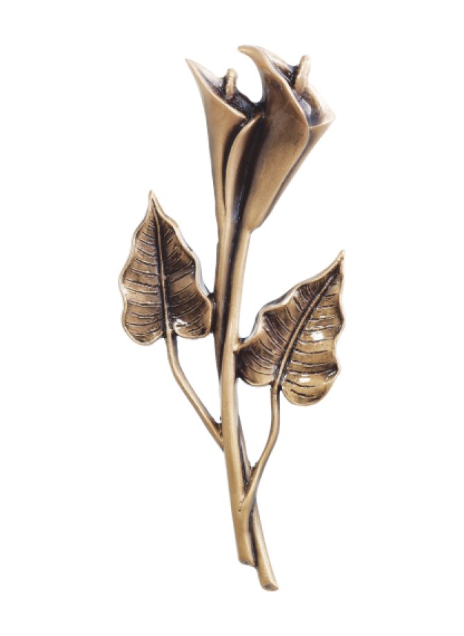 Calla