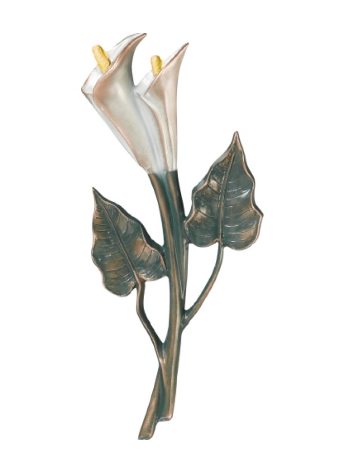Calla