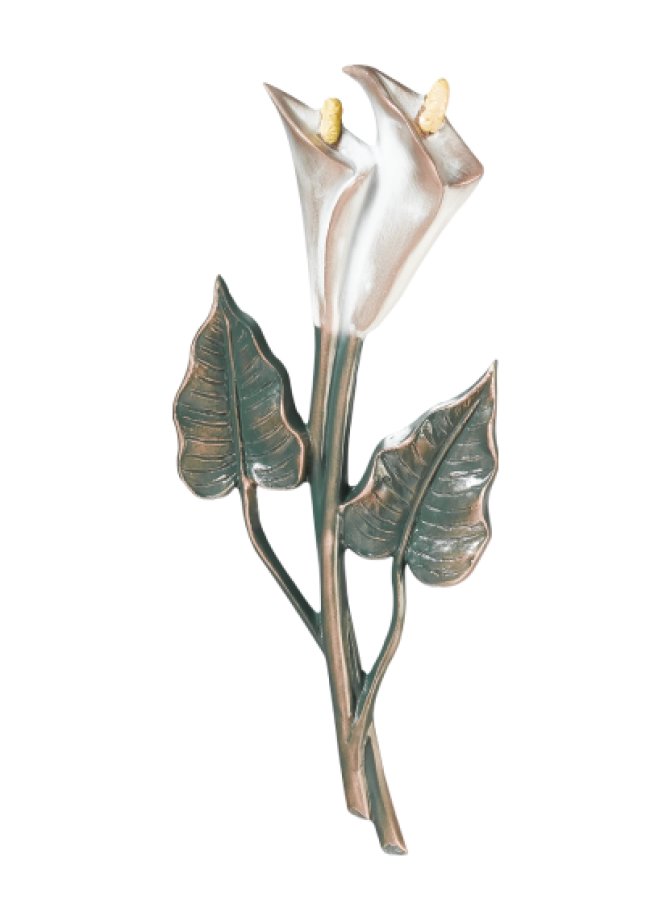 Calla