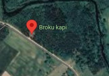 Brikuļu kapi