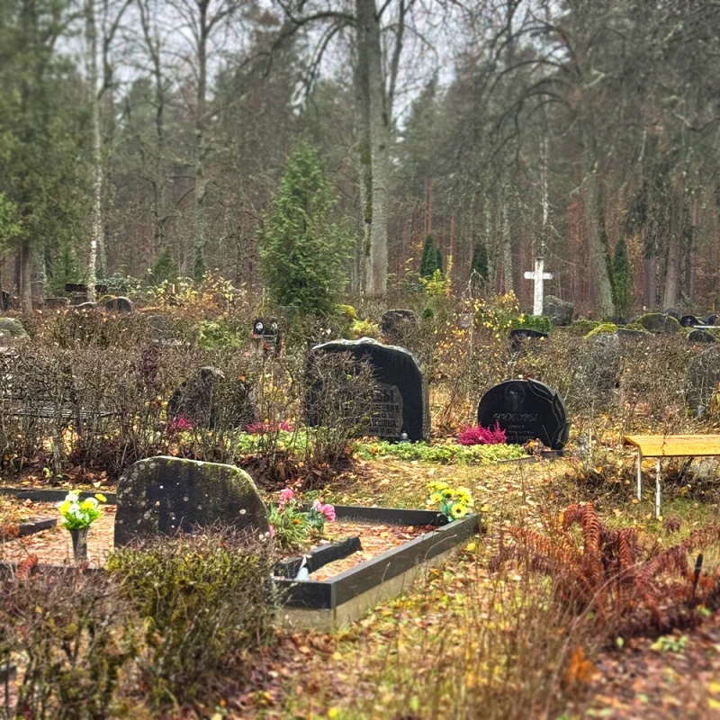 Rīgas Pļavnieku kapsēta