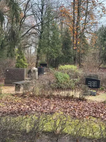 Plašs skats uz Rīgas Meža kapiem ar kokiem un alejām